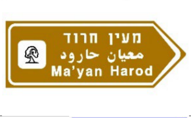 תמרור 617 — מורה דרך בצומת או מחלף